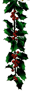 garland Xmas.gif (7663 bytes)